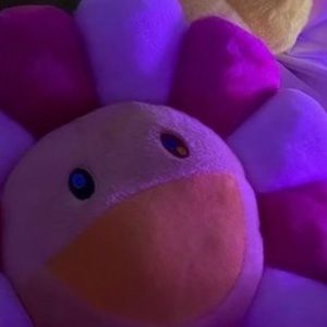 Meet your Posher, Kamylle